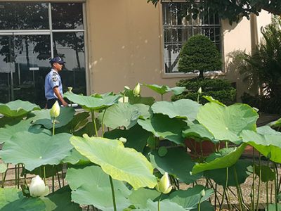 Dịch vụ bảo vệ cho Khu Dân Cư