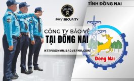 Cong-ty-bao-ve-chuyen-nghiep-Dong-Nai-1-3ko9gllzjxxy8xdh33g5q8.jpg