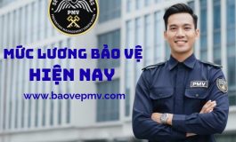 Muc-Luong-cua-bao-ve-hien-nay-3nz8i7qg2ixejcdz39gav4.jpg