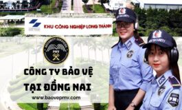 cong-ty-bao-ve-tai-Dong-Nai-3nk55et74v31pix18itb7k.jpg