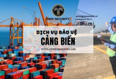 dich-vu-bao-ve-cang-bien-3or6lpc8x6wpif8k5ulukg.jpg